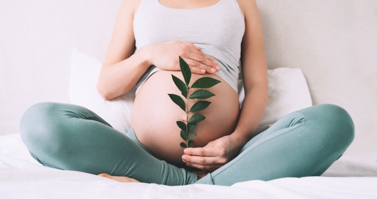 3 Mitos e 2 Verdades sobre a reprodução assistida - Clinica Takata